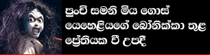 gossip lanka