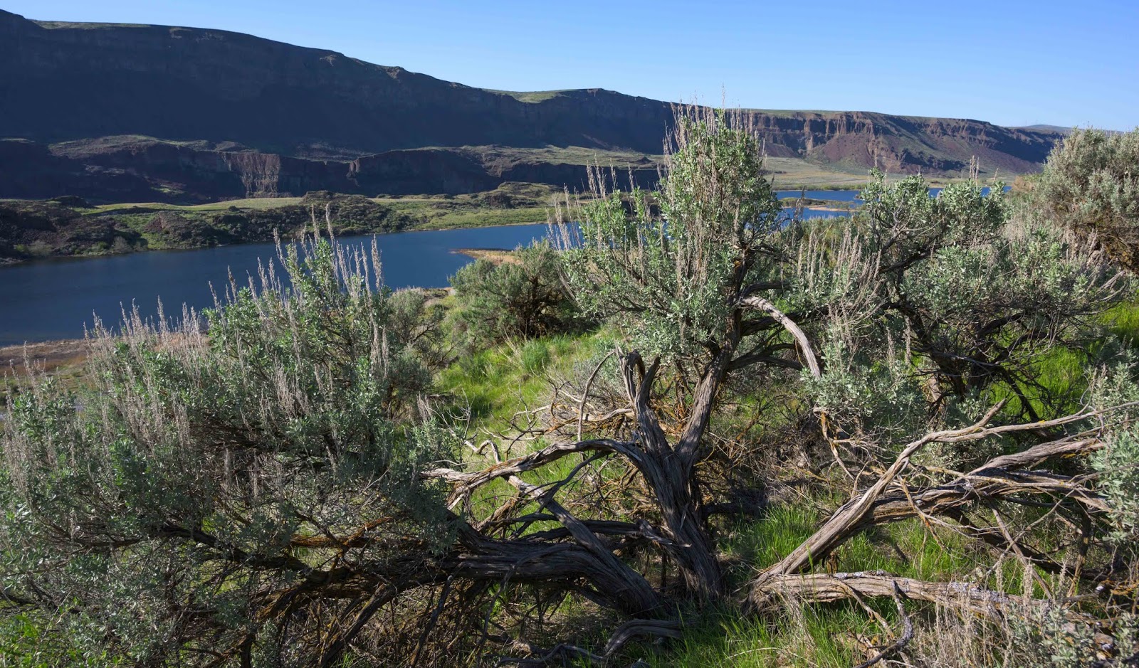 Illuminations from the attic Lake Lenore Caves State Park