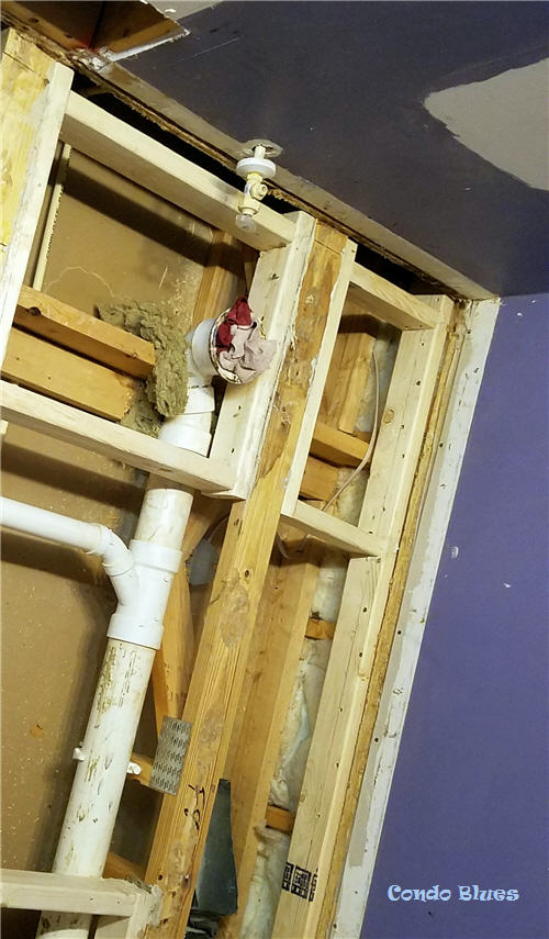 Condo Blues How to Repair and Replace a Moldy Bathroom Floor