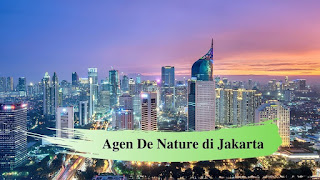 Jual Obat Sipilis De Nature Di Jakarta Pusat Asli Dan Bergaransi