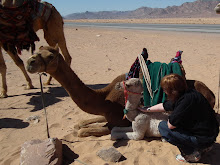 Wadi Rum, Jordan