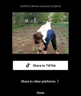 video saved to gallery