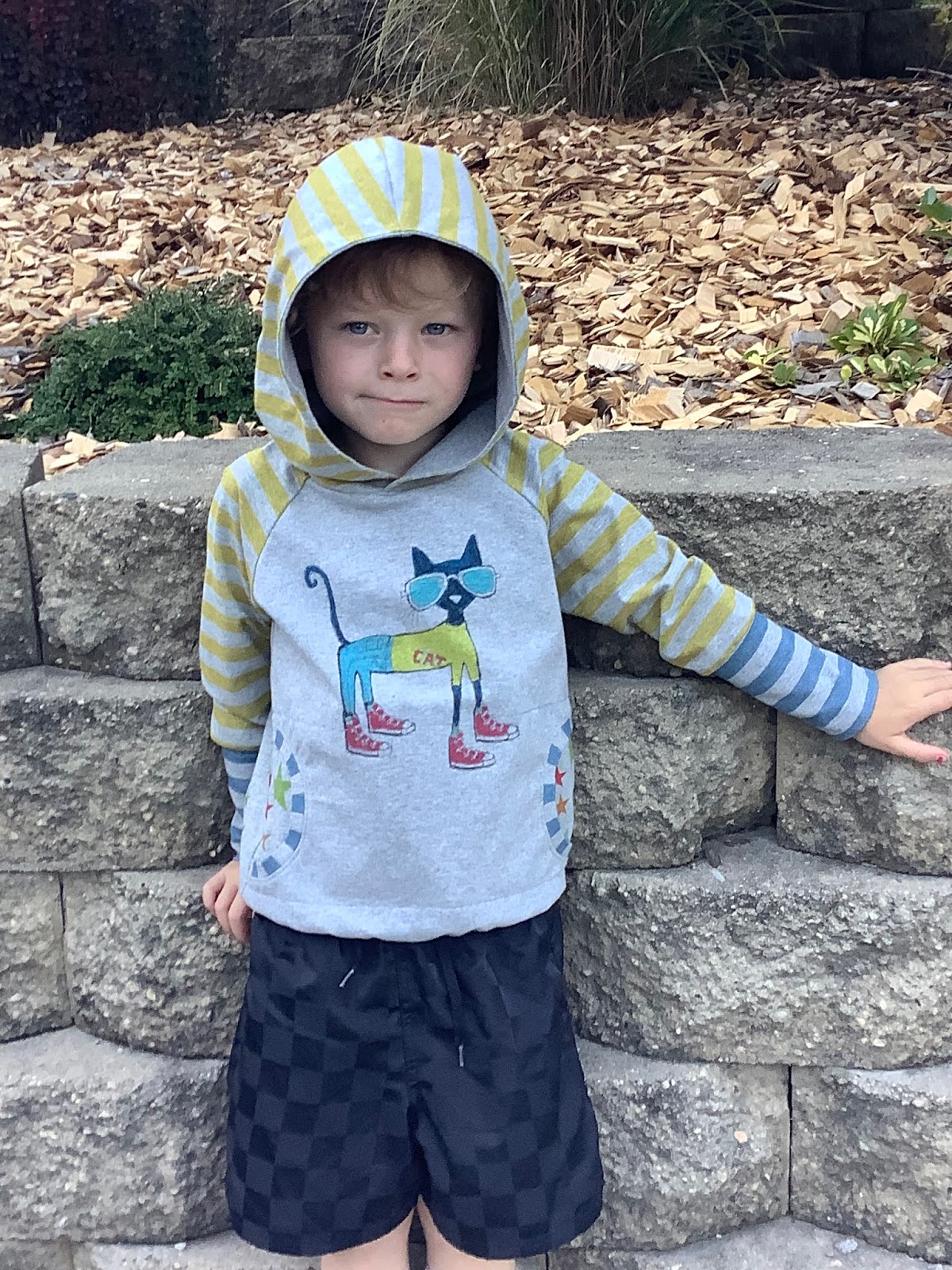 Sew Much To Give Our Hero Pete the Cat Pixie Hoodie