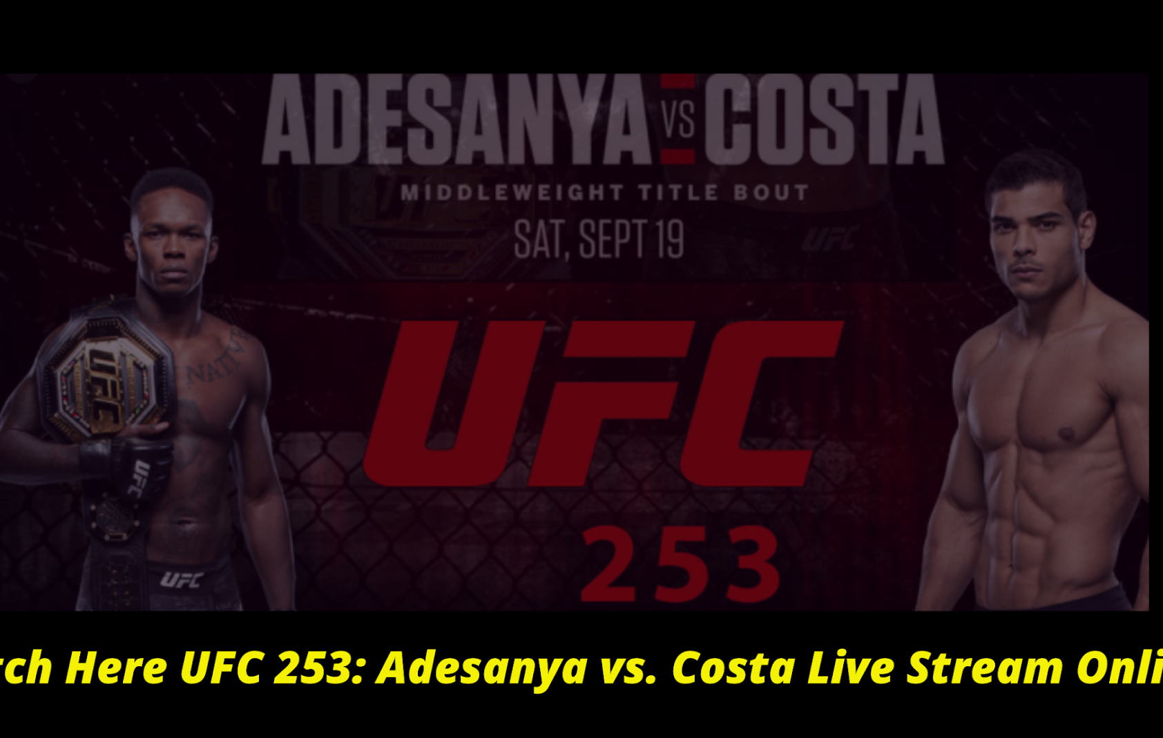 ufc 253 stream reddit