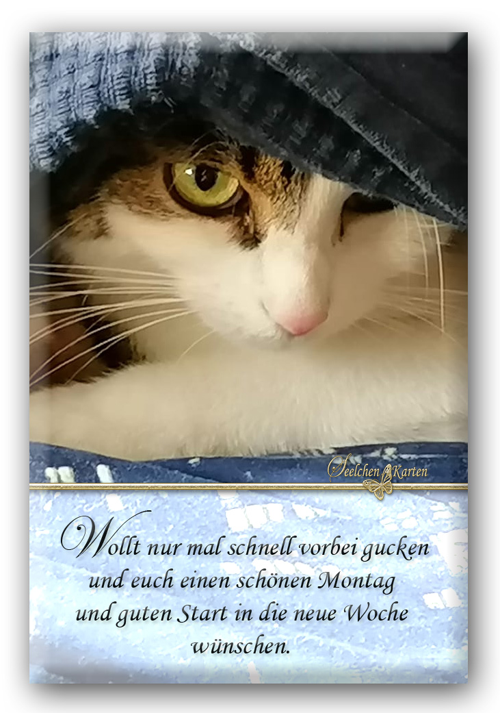 Seelchen Karten und Collagen : Schönen Montag und guten Start in die Seelchen Karten und Collagen : Schönen Montag und guten Start in die