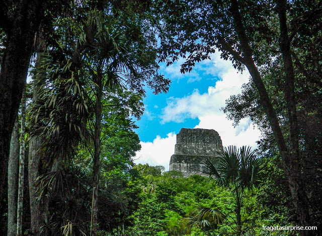 Tikal, Guatemala, Templo do Grande Sacerdote (Templo 3)
