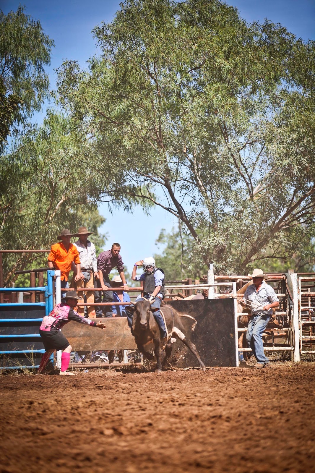 Clancy Job Photography: Rodeo & Camp Draft, Daly Waters NT 2014