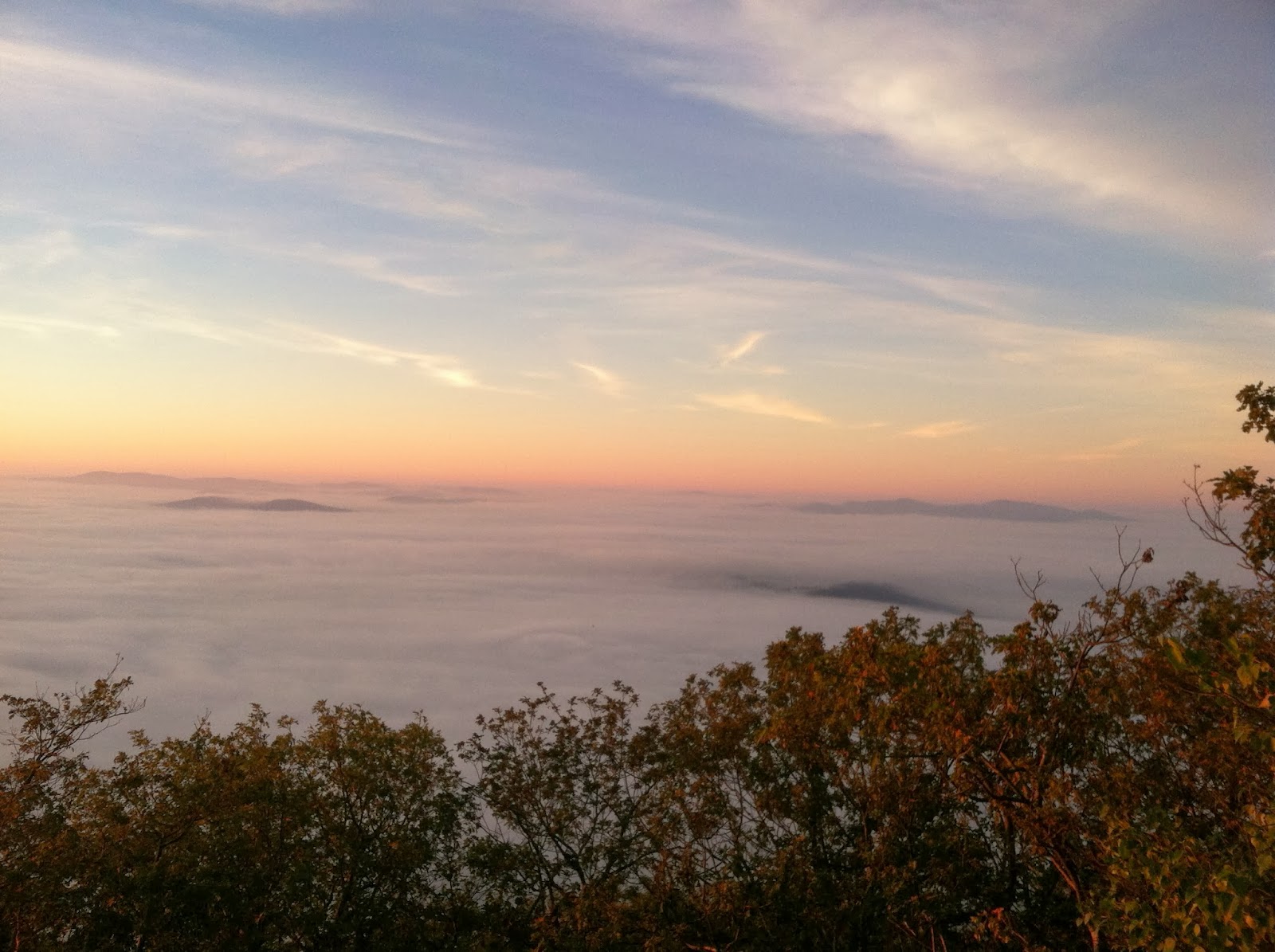 Early Morning Trails Training - IMG 0831.JPG