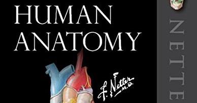 E-libraryme: Atlas of Human Anatomy 7th edition (PDF)