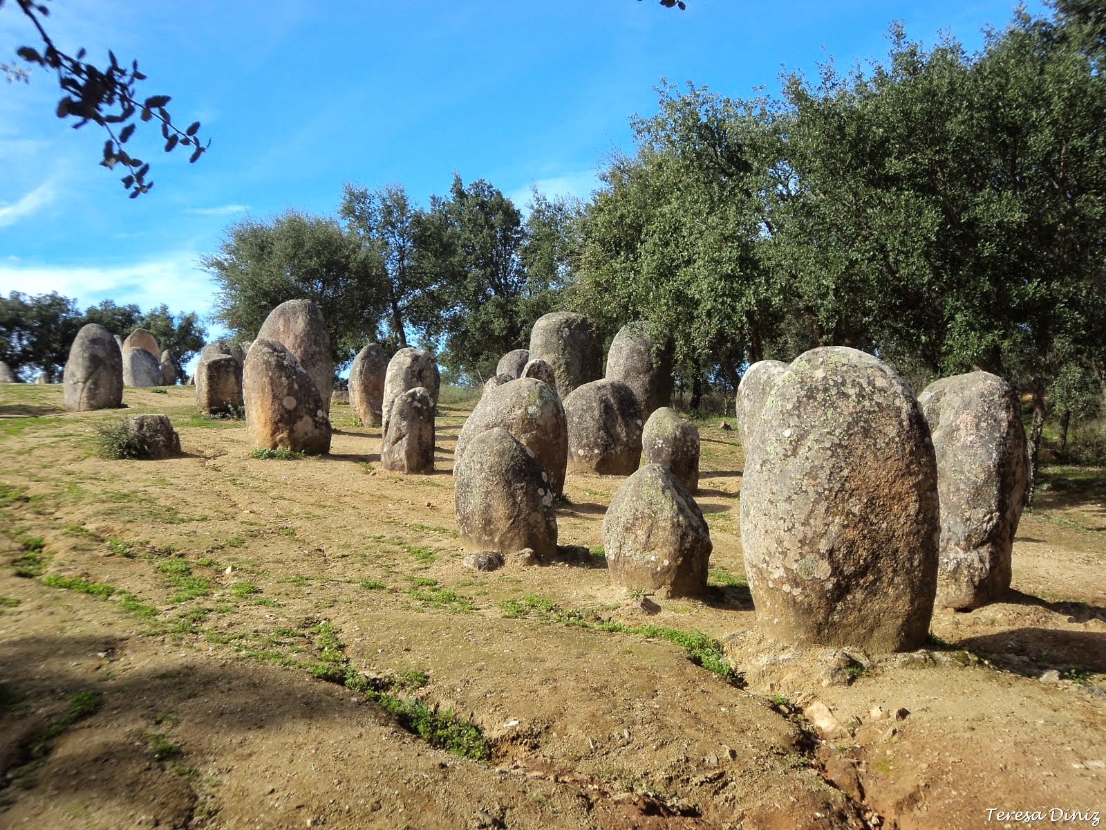 O Cromeleque dos Almendres