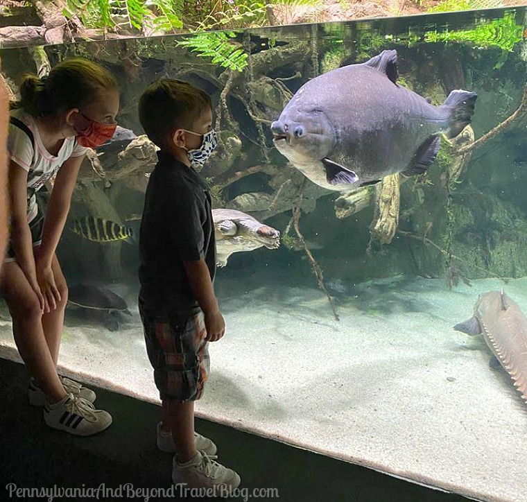 Pennsylvania & Beyond Travel Blog Spend the Day at the National