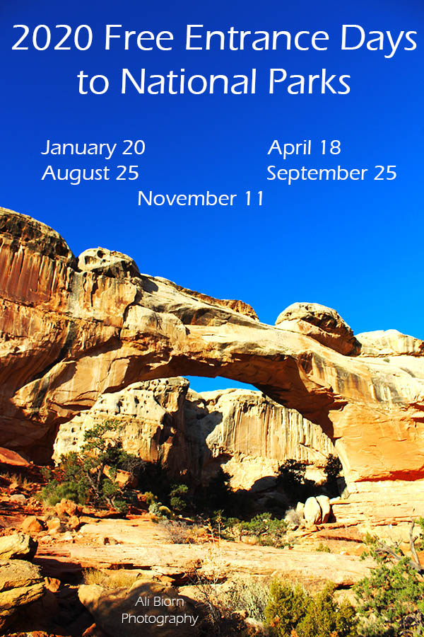2020 Free Entrance Days to National Parks Ali Biorn Photography