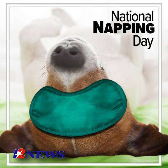 National Napping Day Wishes National Napping Day Wishes