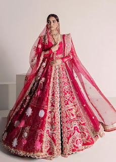 Ali Xheeshan Red Dridal dresses embroidered work