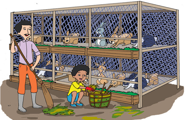 Pandangan Baru Pokok Teks Gerak KupuKupu