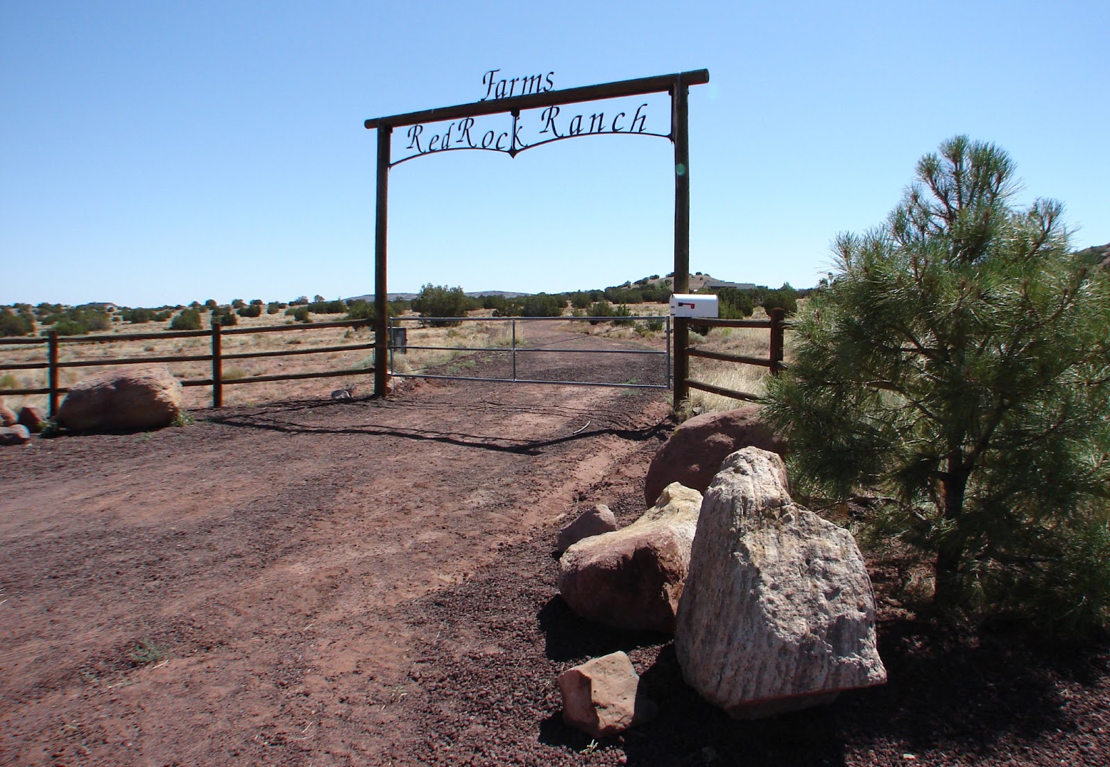Finding Arizona Arizona Lavender Summer Festival