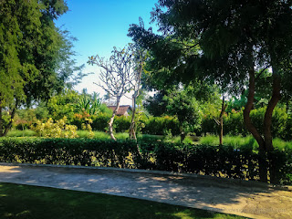 Natural Tropical Garden View Under The Warmth Of The Morning Sunshine At The Village North Bali Indonesia
