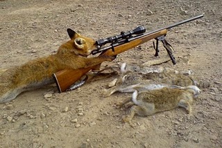  hewan  hewan  yang memegang senjata 