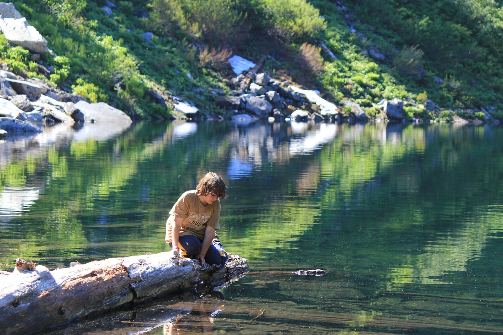 A Homeschool Mom's Hiking Blog Bear and Pinnacle Lake Trail August 4
