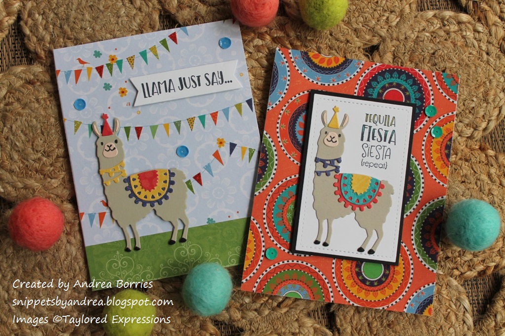 The house on mango street setting image