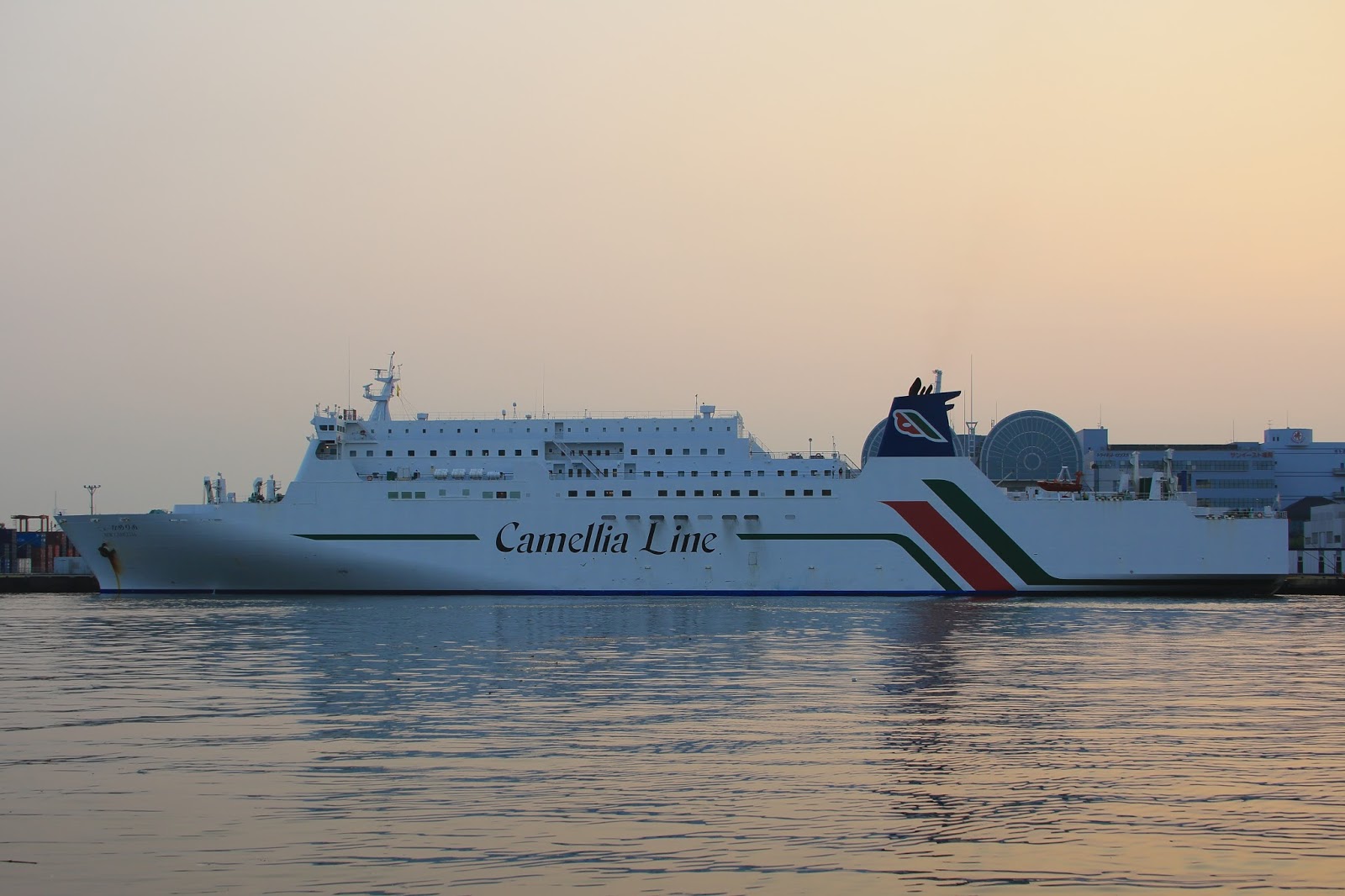 ニューかめりあ