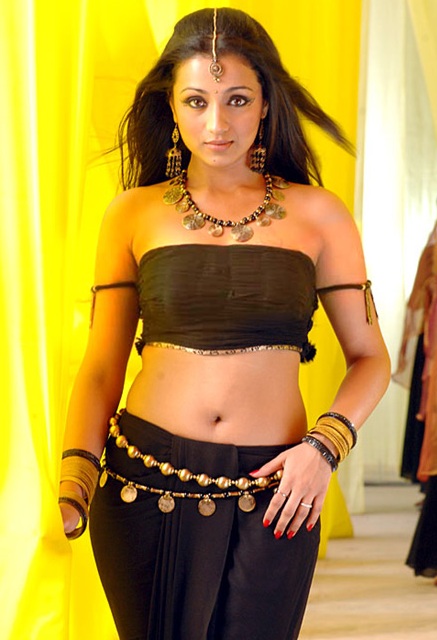Hot South Indian Actress Trisha Navel Photos All Pics 