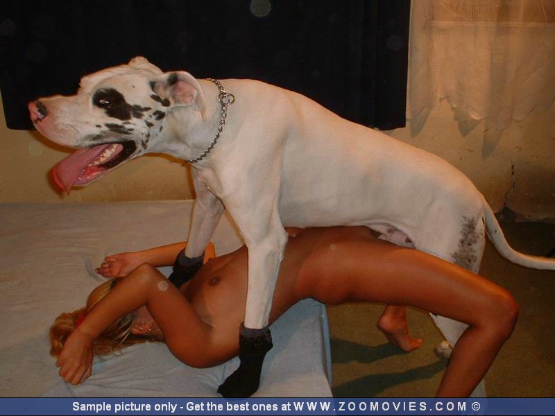 Ladies dog fucking Dog Sex