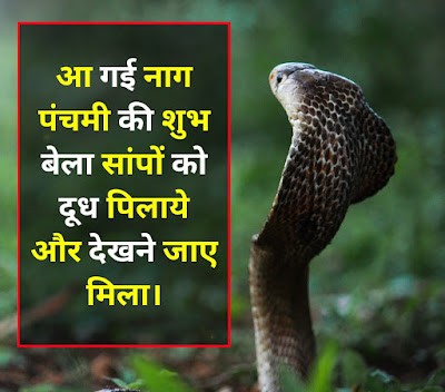 Nag Panchami Shayari Images