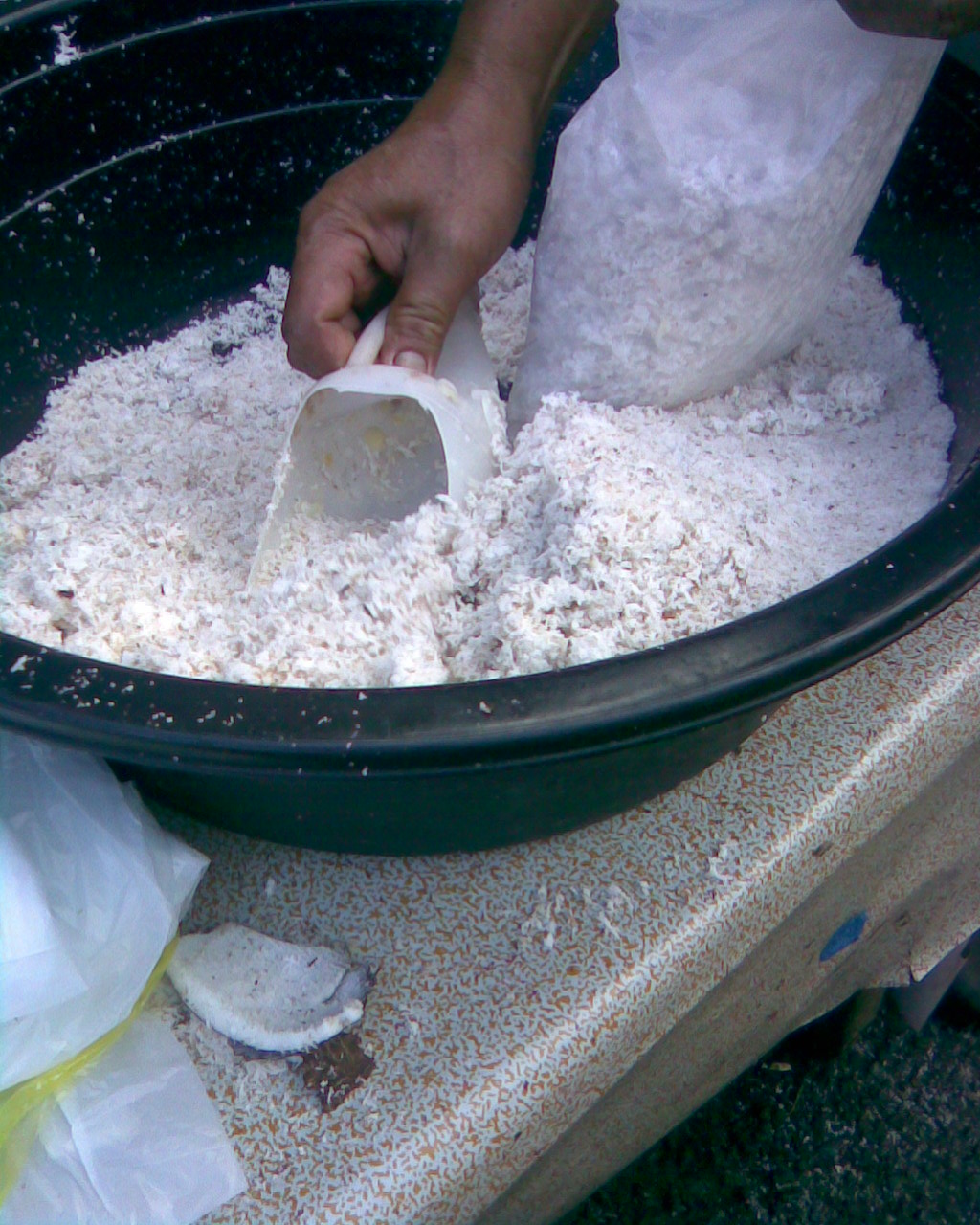 ChloeBelle's NesT Coconut Milk Extractor