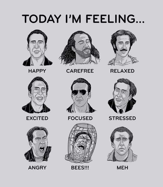 HeroPress A Nic Cage For All Seasons...