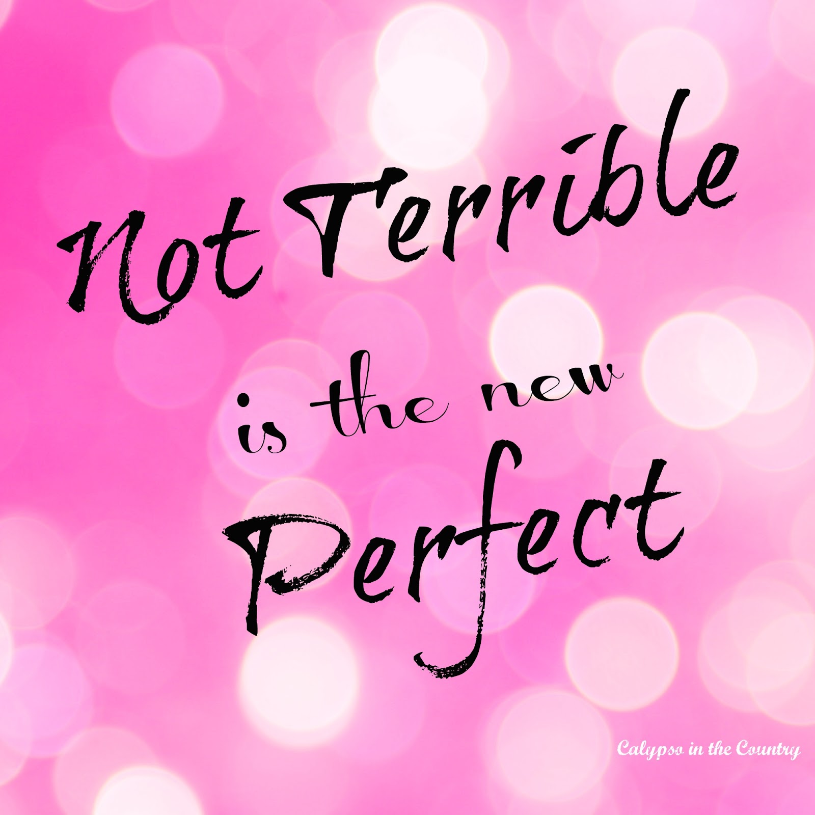 Not Terrible is the New Perfect - The Story Behind our new phrase. Calypso in the Country Blog