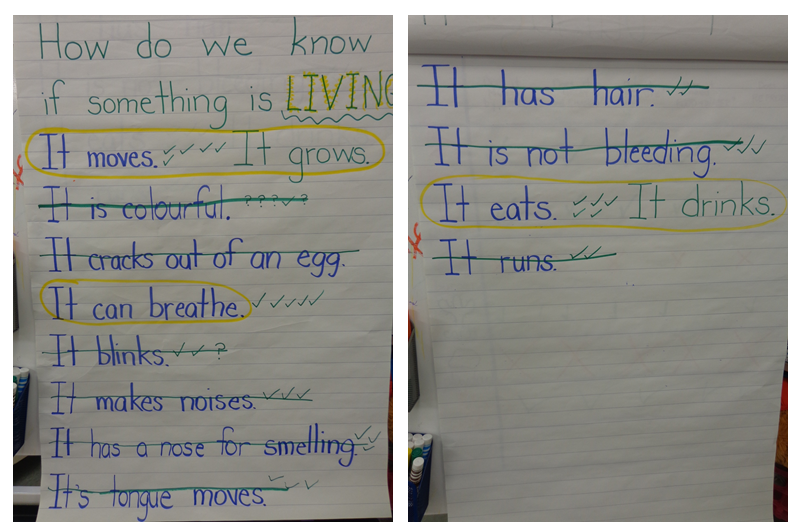 Once Upon A School Day How Do We Know Something Is Living once-upon-a-school-day-how-do-we-know-something-is-living