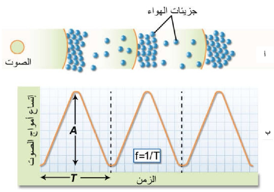 جهاز سمع الأذن كارتي