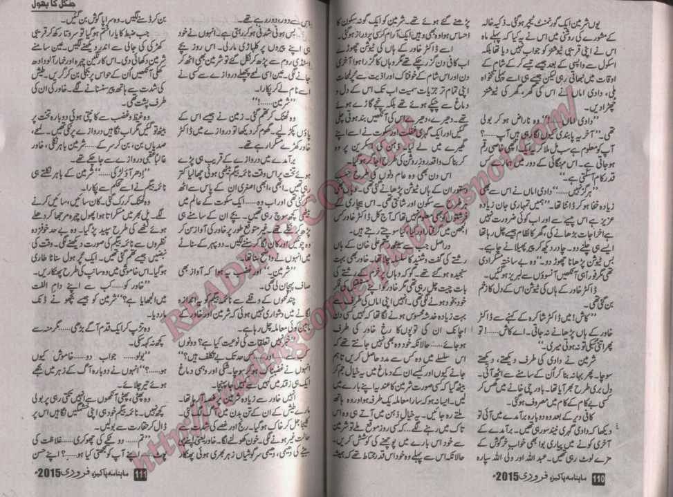 Free Urdu Digests Pakeeza Digest February 2015 Online Reading.