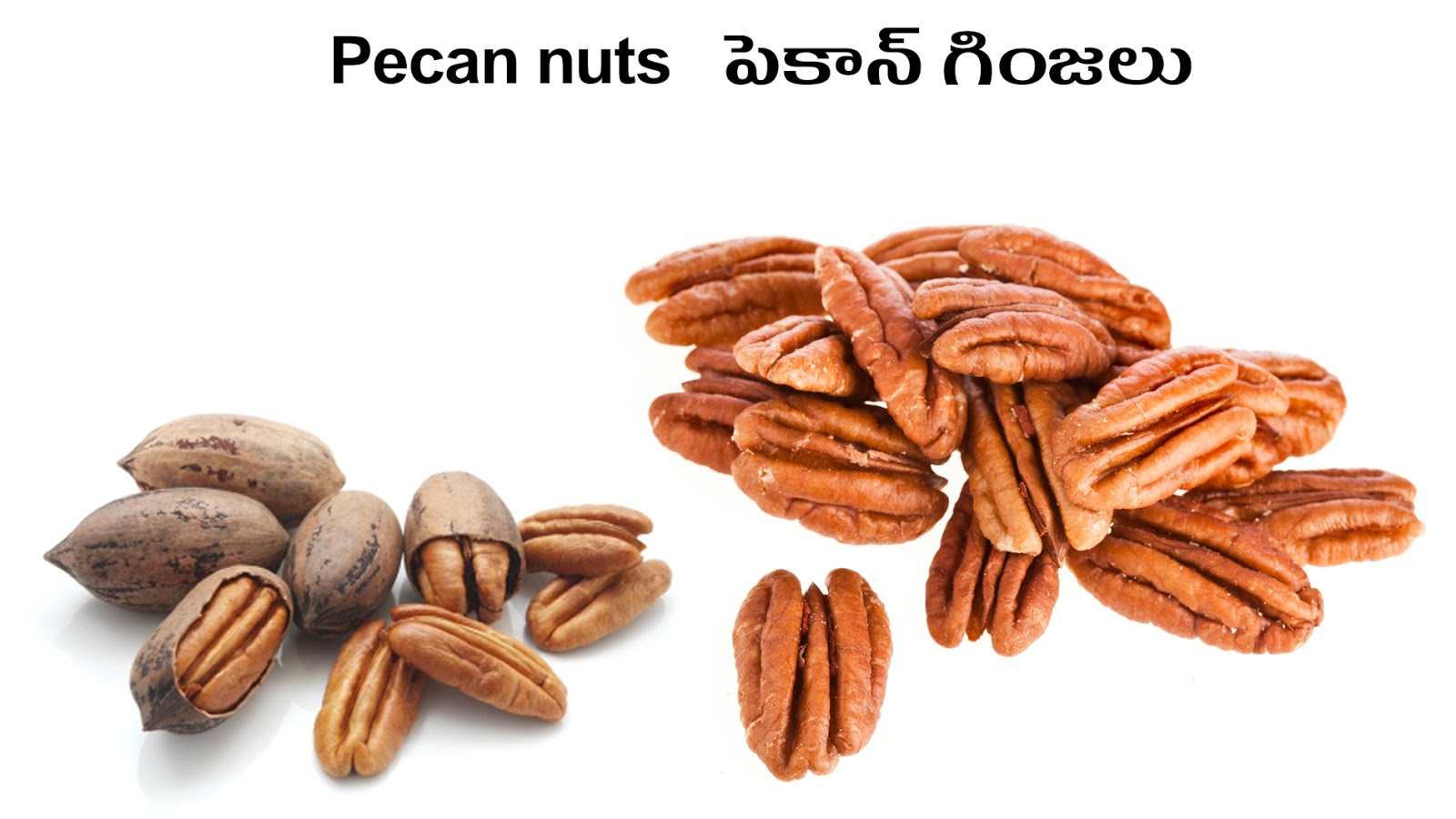 NUTS & DRY FRUITS Picture Dictionary English Telugu