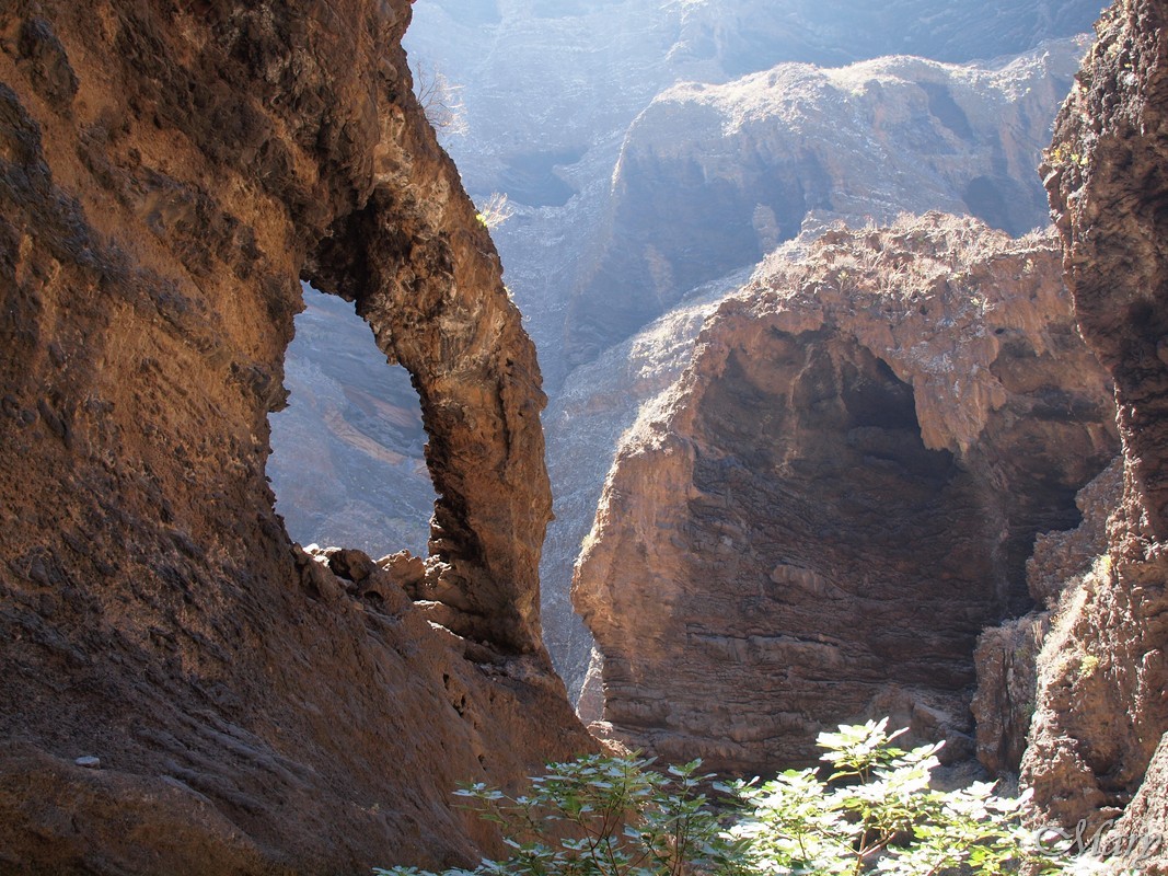 Barranco de Masca -Tenerife, Naturaleza-España (1)