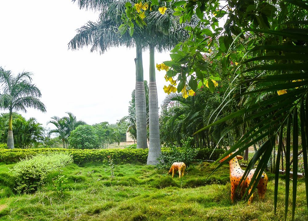 Tamilnadu Tourism Prasanna Venkataramanar Temple (Chinna Tirupati