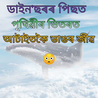 Blue whale 