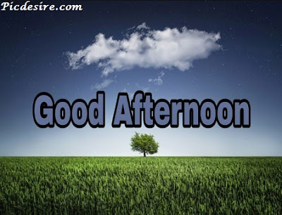 Best 50 Good Afternoon Images 2020 || Good Afternoon Images for Whatsapp Best 50 Good Afternoon Images 2020 || Good Afternoon Images for Whatsapp