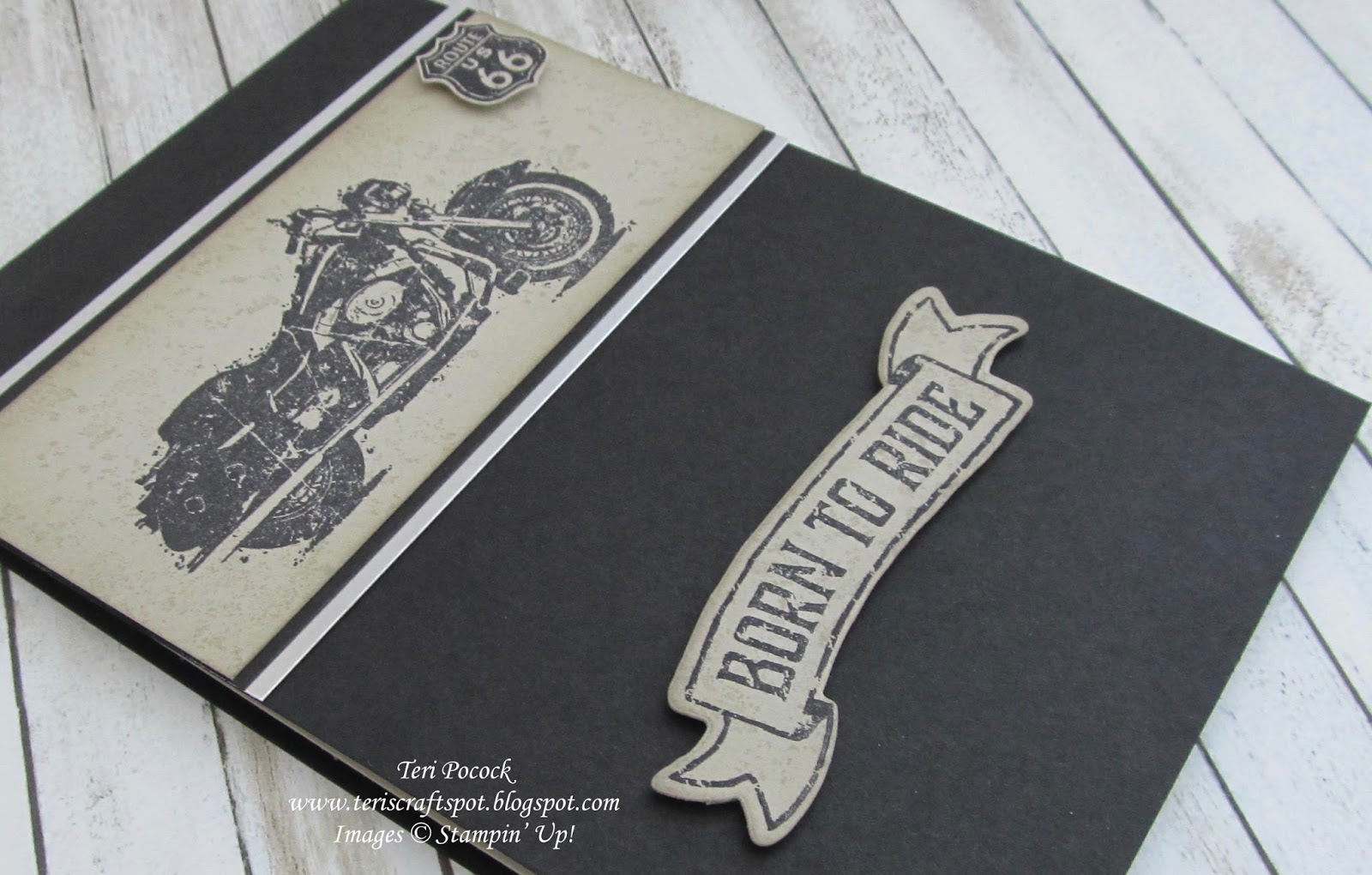 Stampin' Up! UK Demonstrator - Teri Pocock: Another .... One Wild Ride