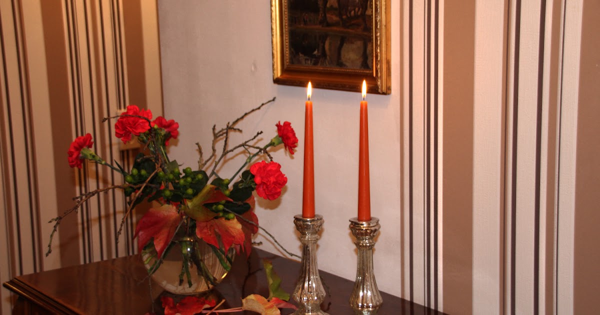 Nelken Diantus Im Stimmungsvollen Licht