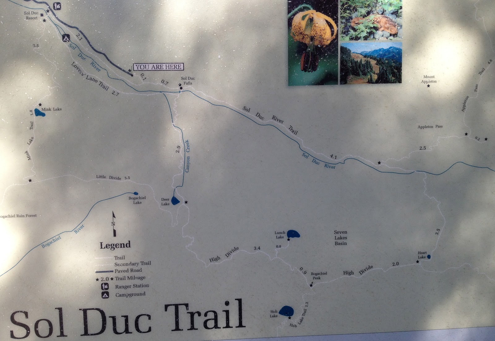 Hike the World: Olympic National Park: High Divide Loop: Seven Lakes Basin