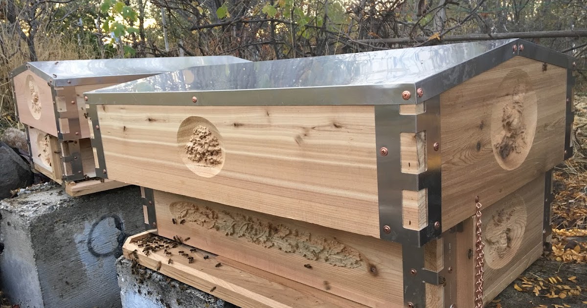 ECO BEE BOX MODERN BEEHIVES & BEES Amazing Beehive Ready for