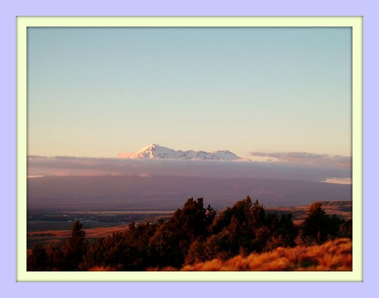 Central Plateau, North Island