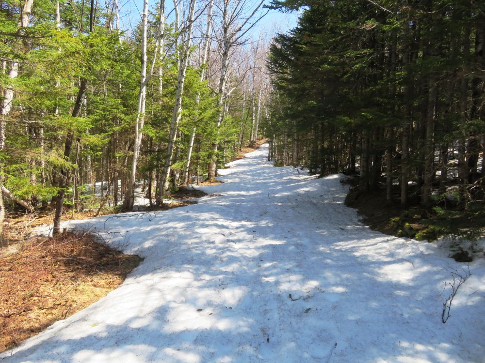 Outdoor Diversion Hall's Ledge Trail and Hutmen's Trail Loop Hike