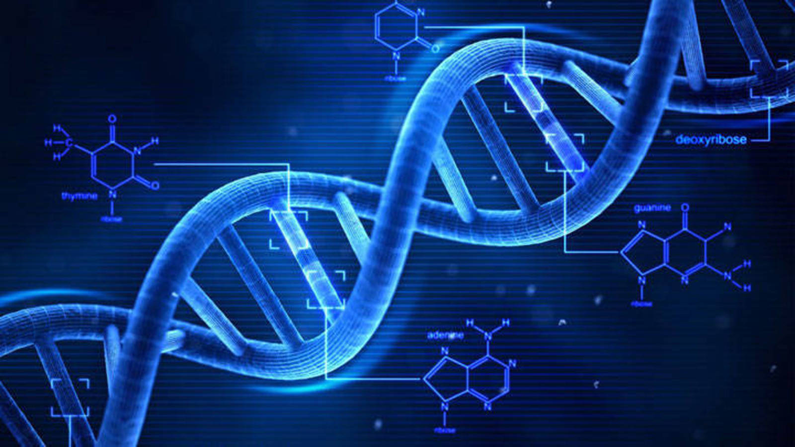 IMPORTANCIA DE LA BIOLOGÍA IMPORTANCIA DE LA BIOLOGÍA