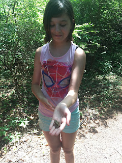 Bantam-White-Memorial-Conservation-Center-Connecticut-wildlife-frog-catching Bantam-White-Memorial-Conservation-Center-Connecticut-wildlife-frog-catching