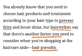 hair porosity