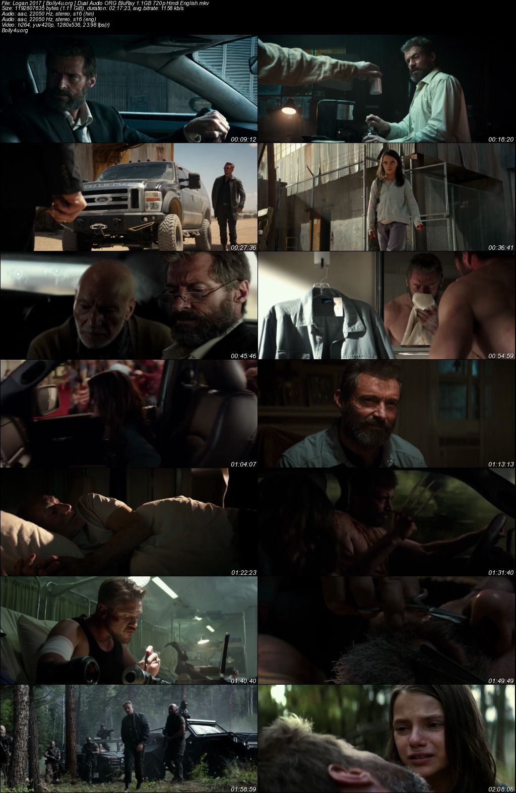 Logan 2017 BluRay 480p Hindi English Dual Audio ORG 400MB Download