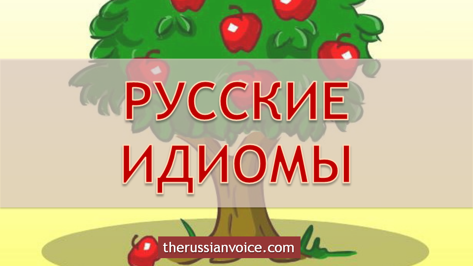 Russian Idioms with English equivalents. Level B2+